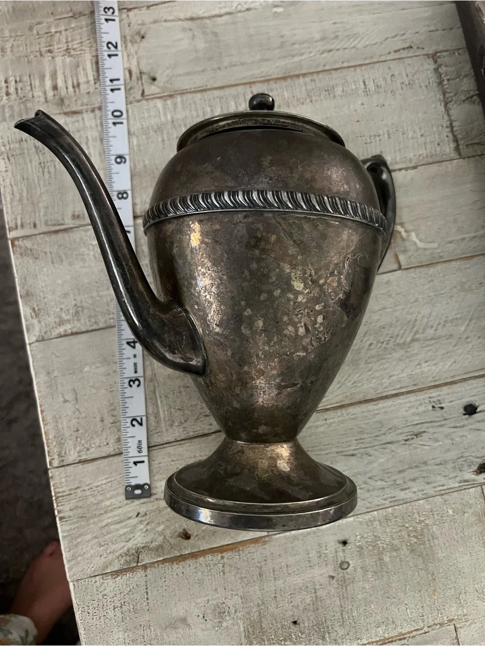 Excelsior elegant silver